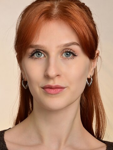 Akzent Earrings 'wasserfest' in Silver: front