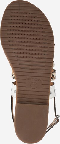 GEOX Sandalen met riem in Gemengde kleuren