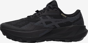 ASICS Running Shoes 'TRABUCO 14' in Grey: front