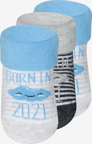 EWERS Socks in Grey: front