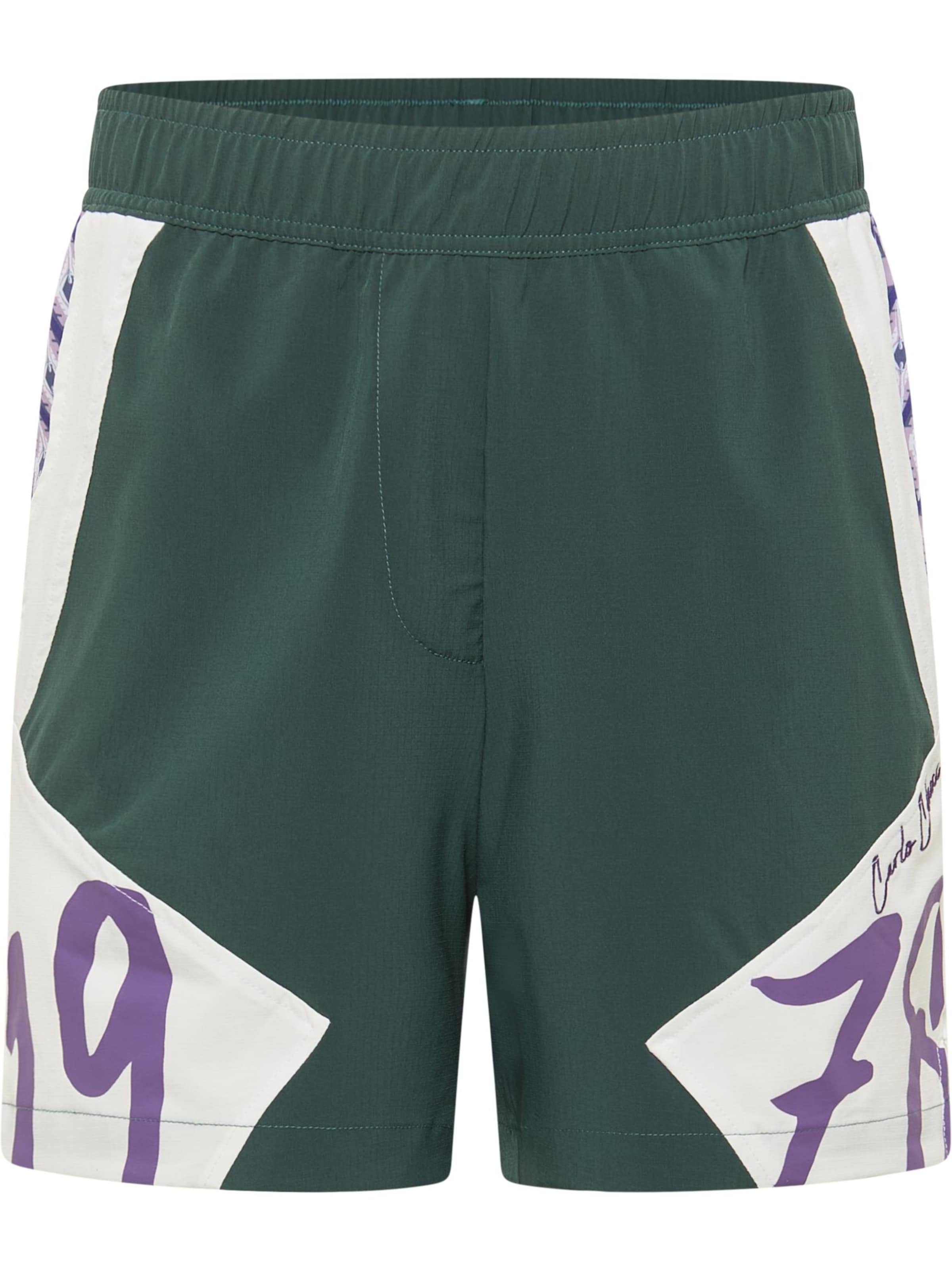 Regular Pantalon 'Fasano' Carlo Colucci en vert : devant