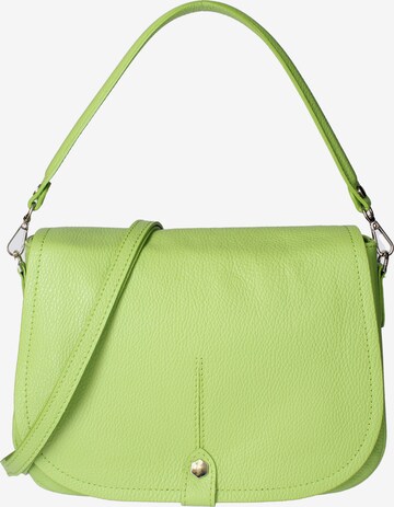 Viola Castellani Crossbody Bag in Green: front