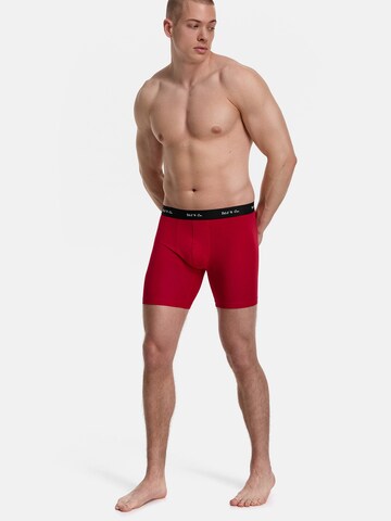 Phil & Co. Berlin Boxer shorts ' Long Boxer Briefs ' in Black: front