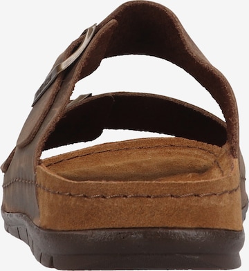 ROHDE Mules in Brown