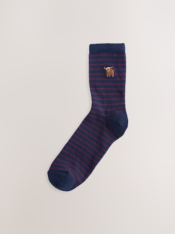 Next Sockor i blå