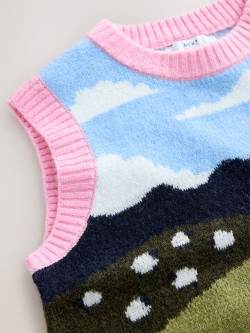 Pullover di Next in colori misti