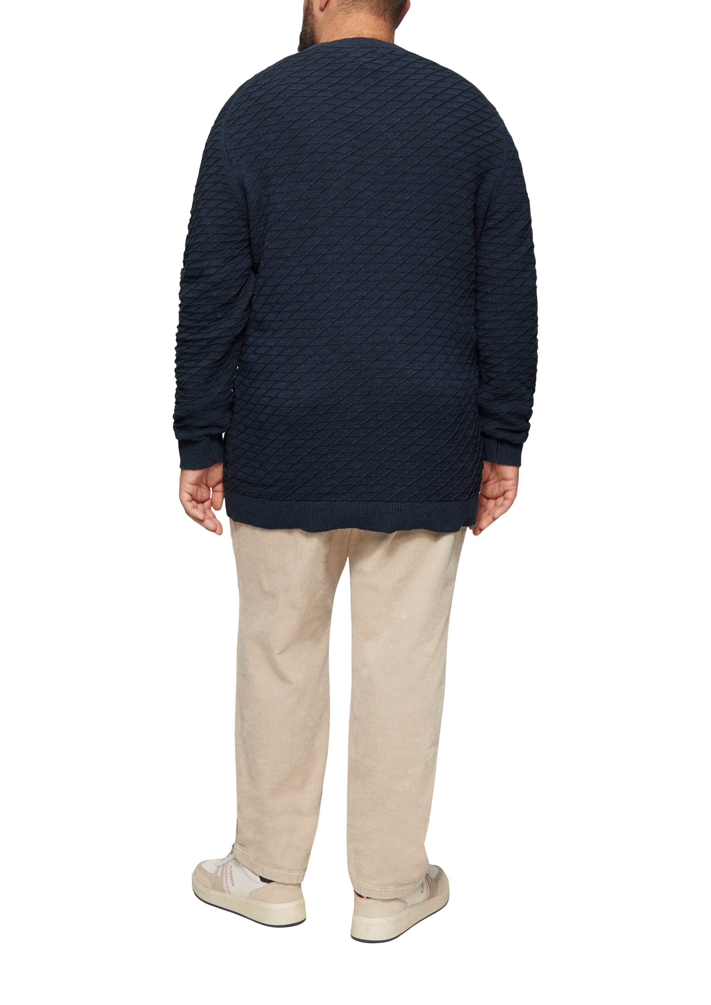 s.Oliver Men Big Sizes Sweater in Blue