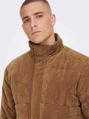 Only & Sons Between-season jacket 'Cash' in Brown