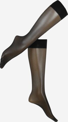Wolford Hlačne nogavice | črna barva: sprednja stran
