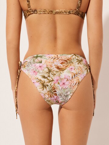 CALZEDONIA WILD TROPICS in Mischfarben