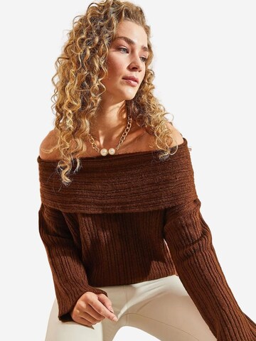 Bianco Lucci Pulover 'Pullover' | rjava barva: sprednja stran