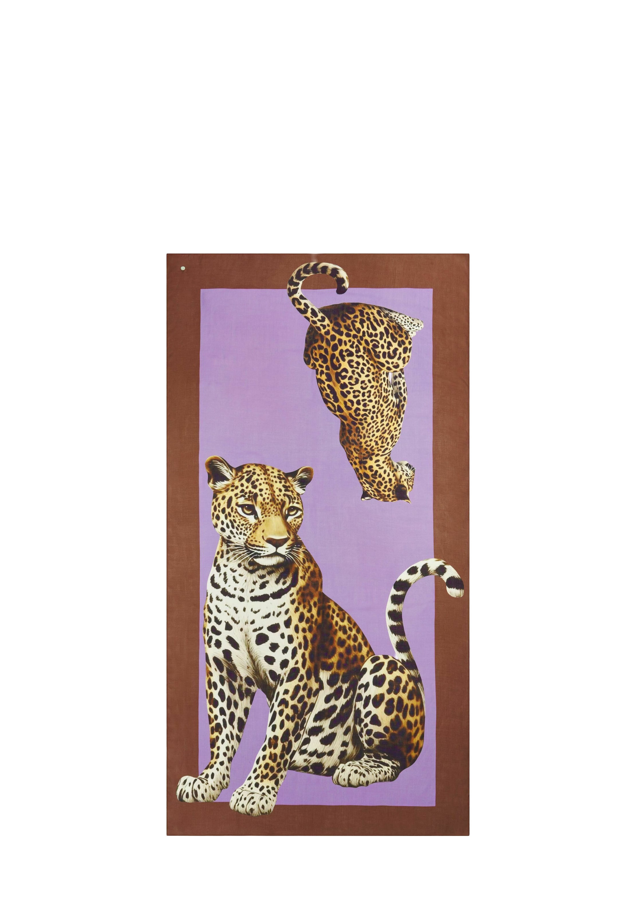 CODELLO - Chal en lila: frente