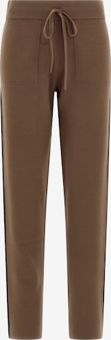 Regular Pantalon DEHA en marron : devant
