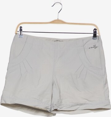 OAKLEY Shorts L in Grau: predná strana