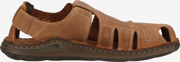 JOSEF SEIBEL Sandals 'Maverick 01' in Brown