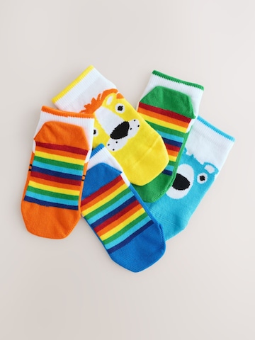 Next Sockor i blandade färger