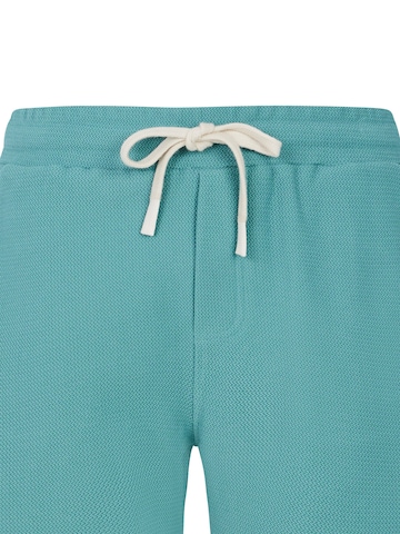 PROTEST Regular Pants 'PRTGraig' in Green