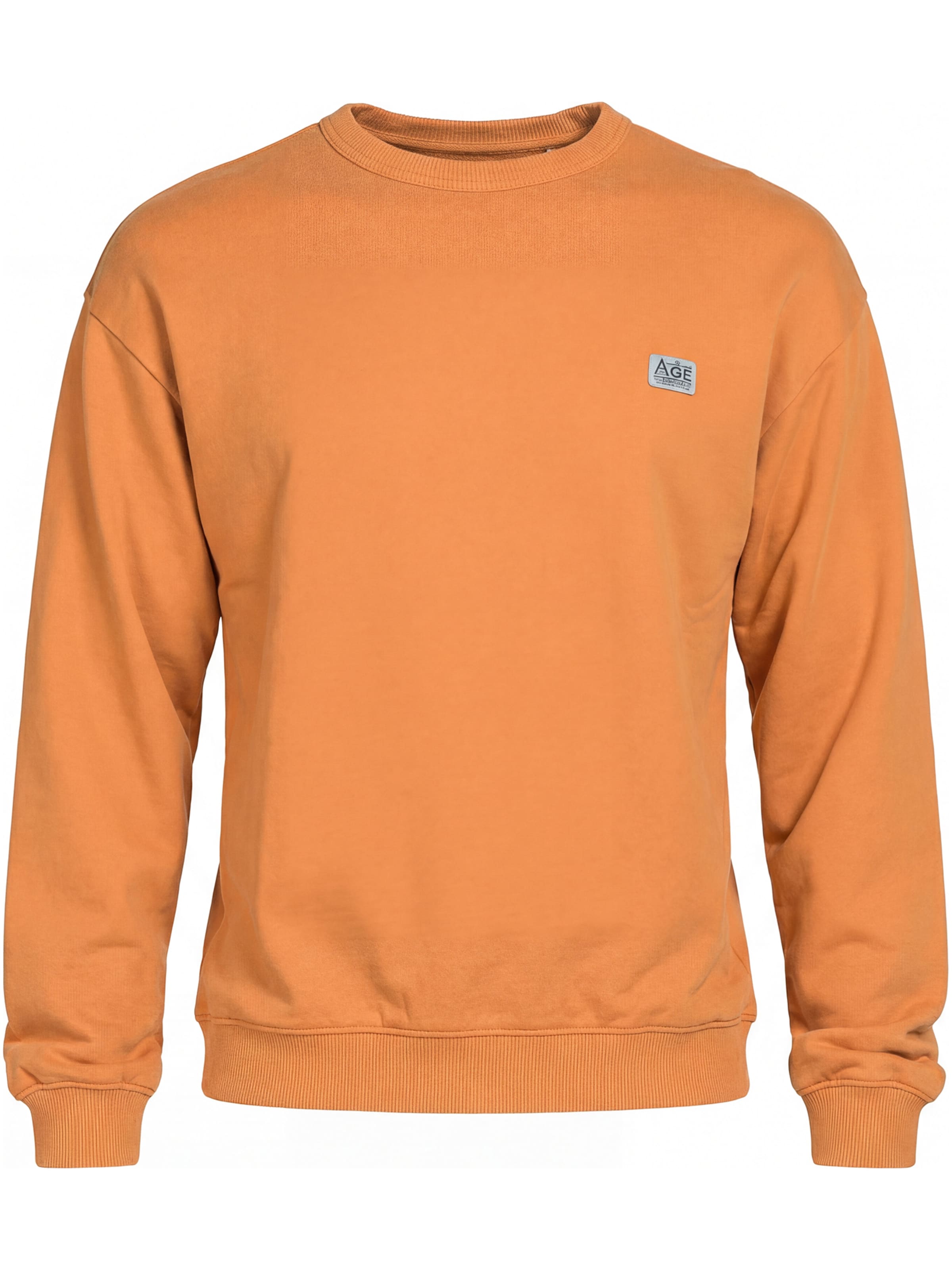 Carrera Jeans Sweatshirt 'Replica Boxy'‌‌‌‌‌‌‌‌‌ in Orange: Vorderseite