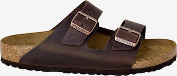 ruda BIRKENSTOCK Šlepetės 'ARIZONA BS 052533': priekis