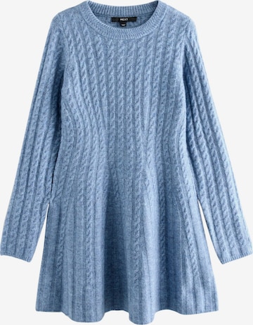Next Knit dress in Blue: front