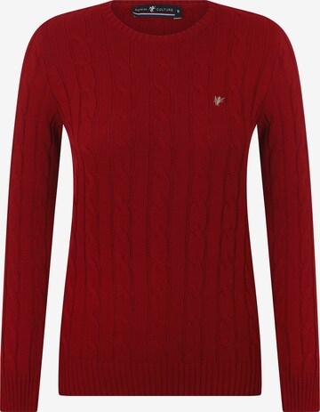 DENIM CULTURE Sweater 'Luisa' in Red: front