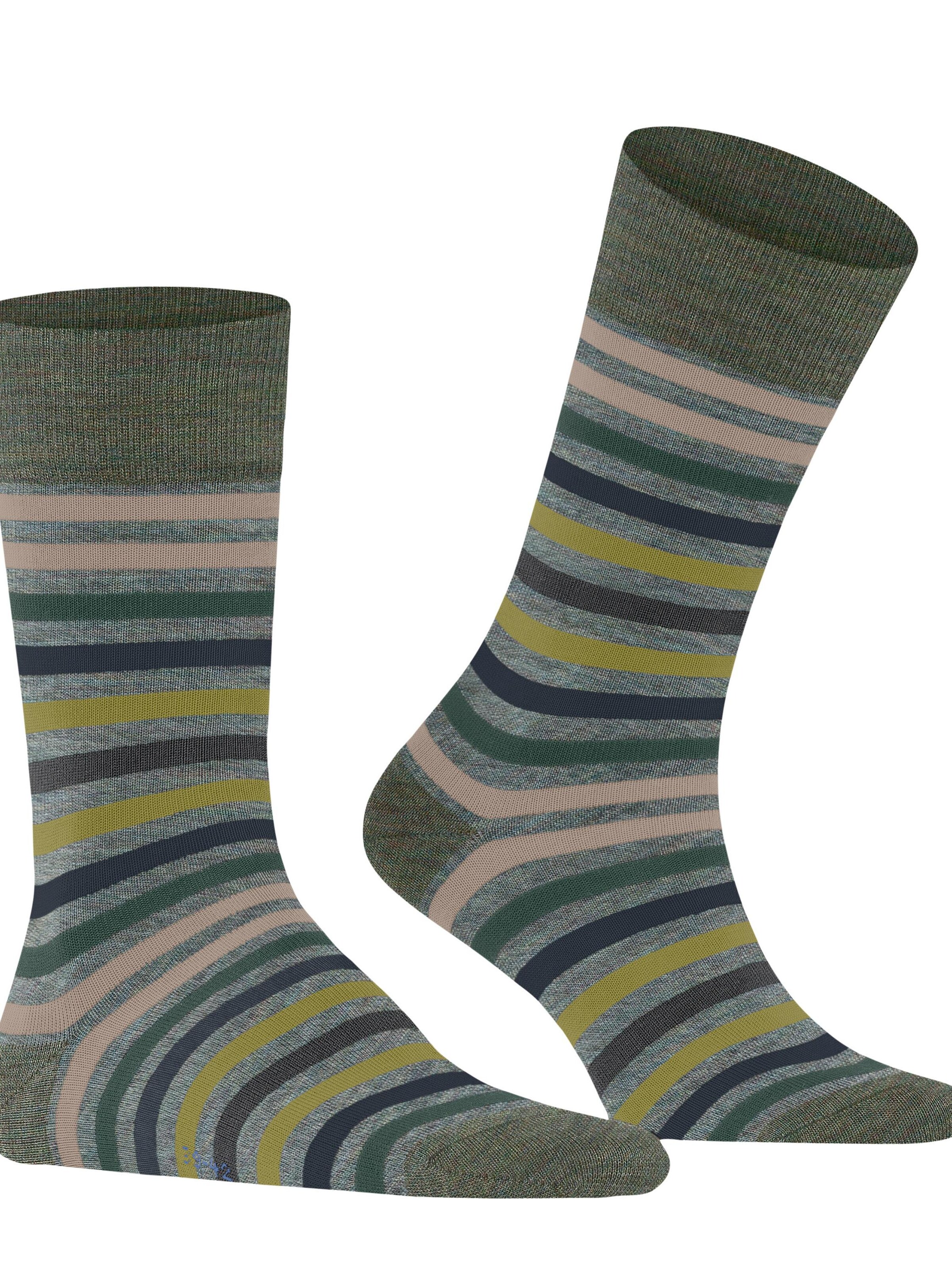 FALKE Socks 'Tinted Stripe' in Blue