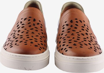 D.MoRo Shoes Sneakers in Brown