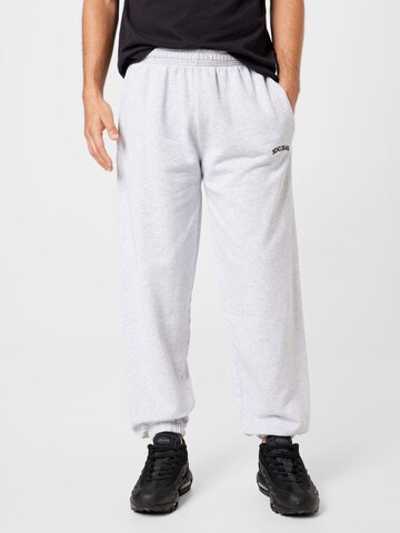 BDG Urban Outfitters Tapered Hose in Grau: predná strana