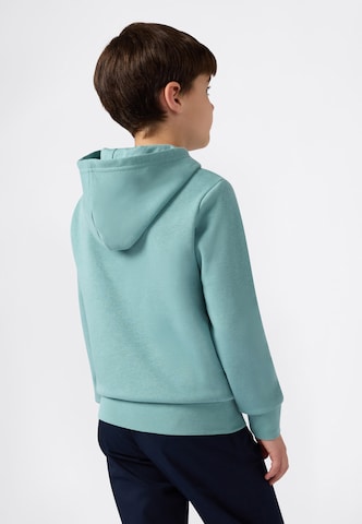 Champion Authentic Athletic Apparel Sweatshirt in Green