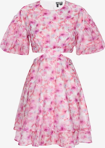 Robe de cocktail DreiMaster Vintage en rose : devant