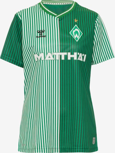 Hummel Jersey 'Werder Bremen 23-24 Heim' in mottled green / Mixed colors, Item view