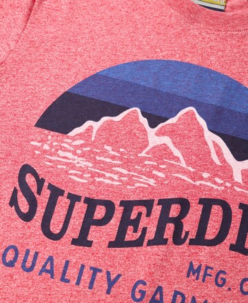 Superdry Shirt in Pink