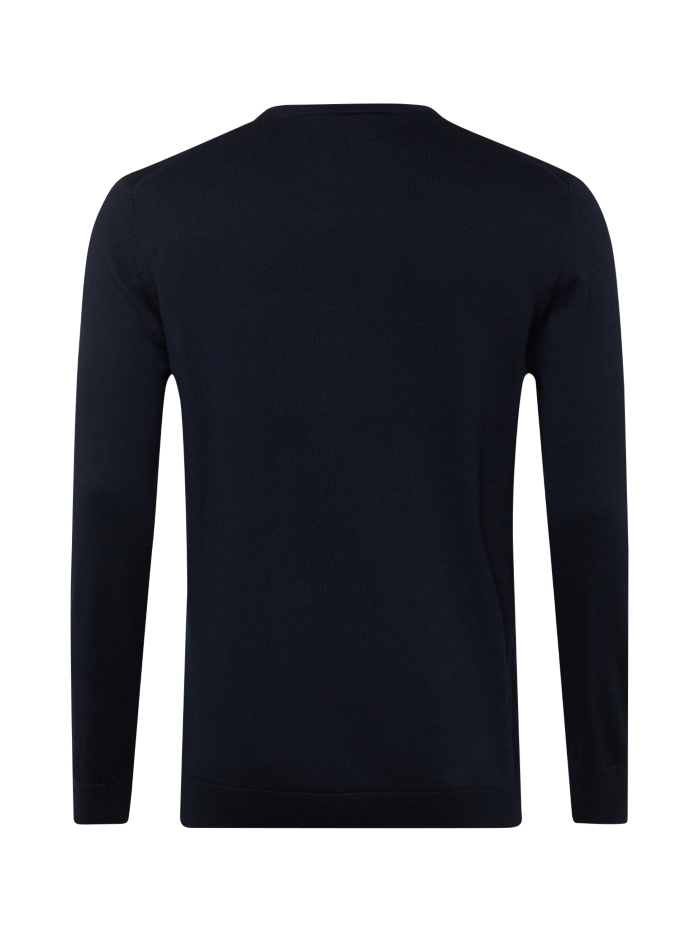 s.Oliver Men Big Sizes Sweater in Blue