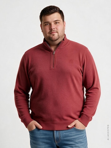 LERROS Sweater in Red: front