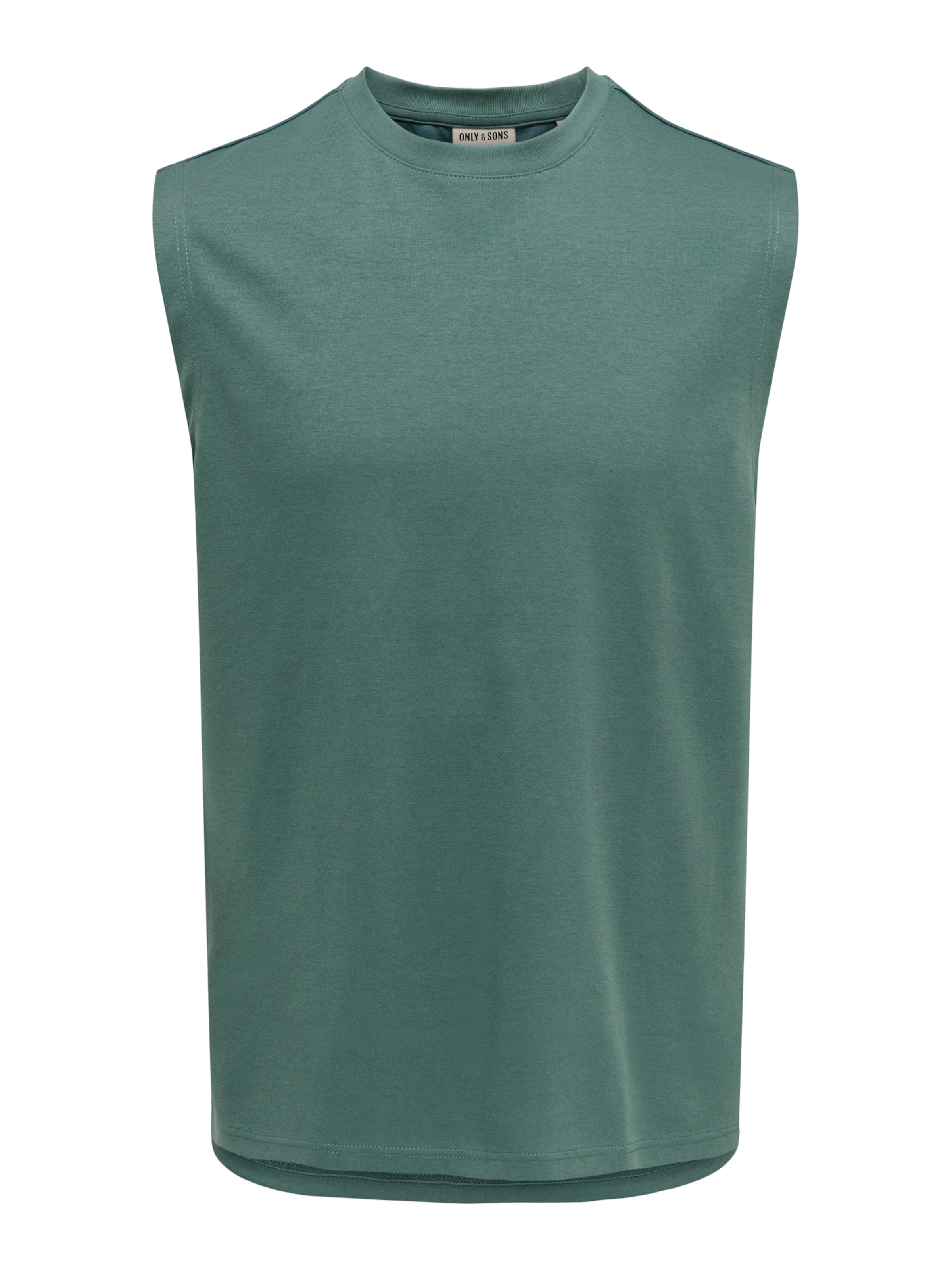 Only & Sons Shirt 'ONSCASPIAN' in Green: front