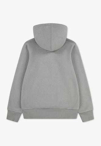 Levi's Kids Regular Fit Sweatshirt 'BATWING' in Grau