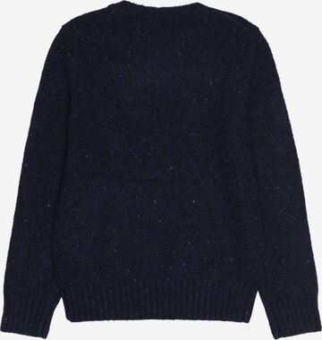 Polo Ralph Lauren Sweater in Blue