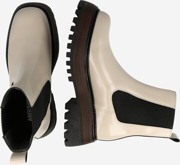 Chelsea Boots ANGULUS en beige