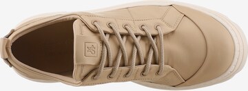 Marc O'Polo Lace-Up Shoes 'Jessy' in Brown