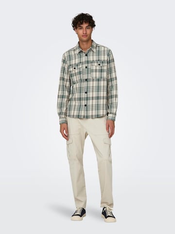 Regular Pantalon cargo 'LUC' Only & Sons en gris