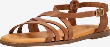 Sandales à lanières Oh! My Sandals en marron : devant
