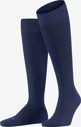 FALKE Kniestrümpfe 'Energizing Wool' in Blau: Vorderseite