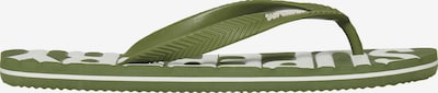 Superdry & Co Tongs en 40-41 en olive, Vue avec produit
