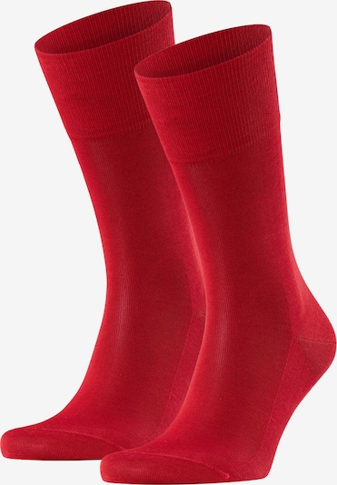 FALKE Sokken in de kleur Robijnrood, Productweergave
