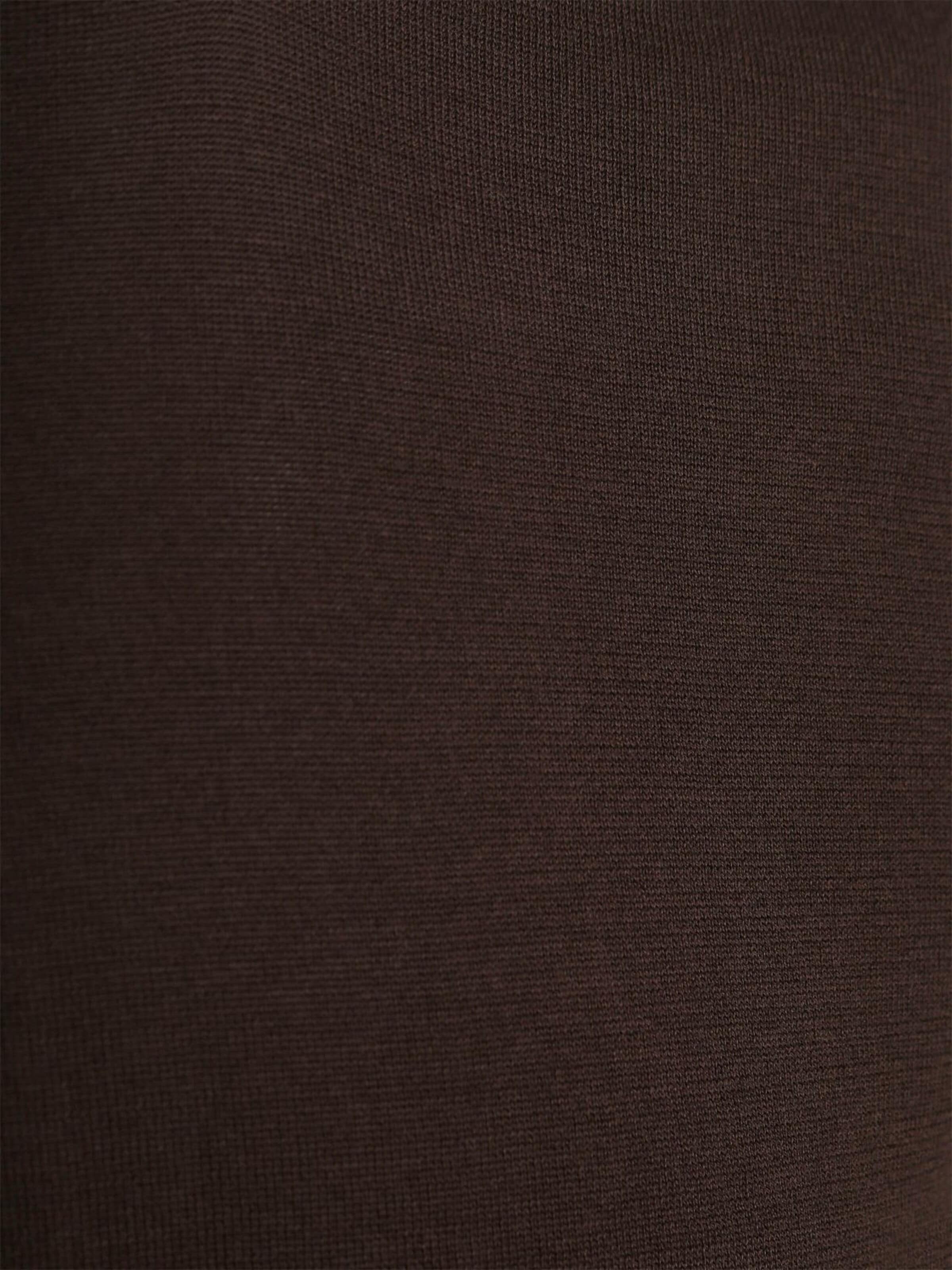 Profuomo Shirt in Brown
