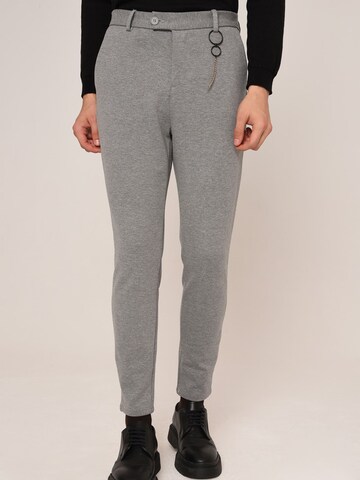 Skinny Pantalon Antioch en gris : devant