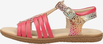 Kickers Sandalen in Roze