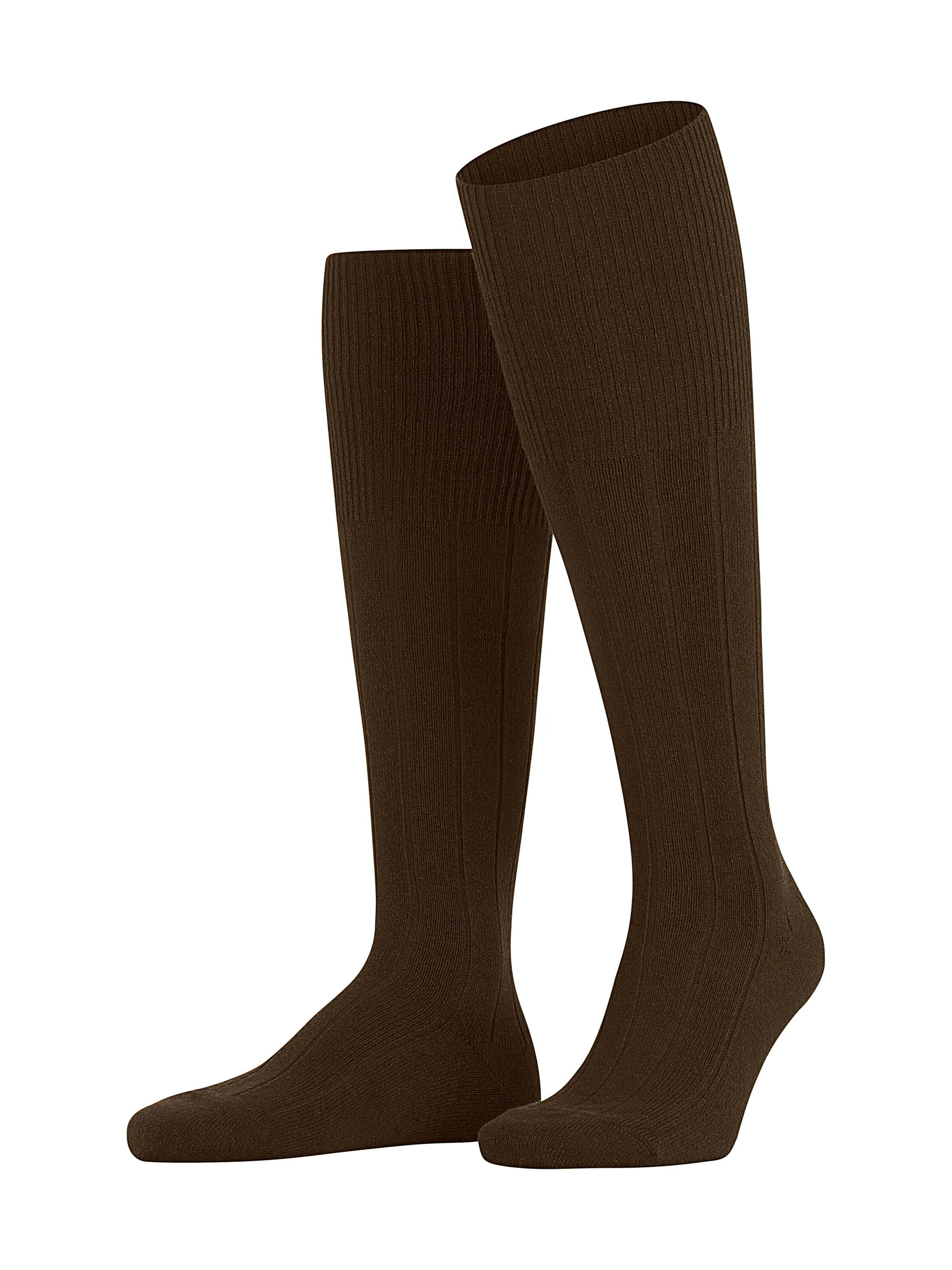 FALKE Knee High Socks 'Lhasa Rib' in Brown: front