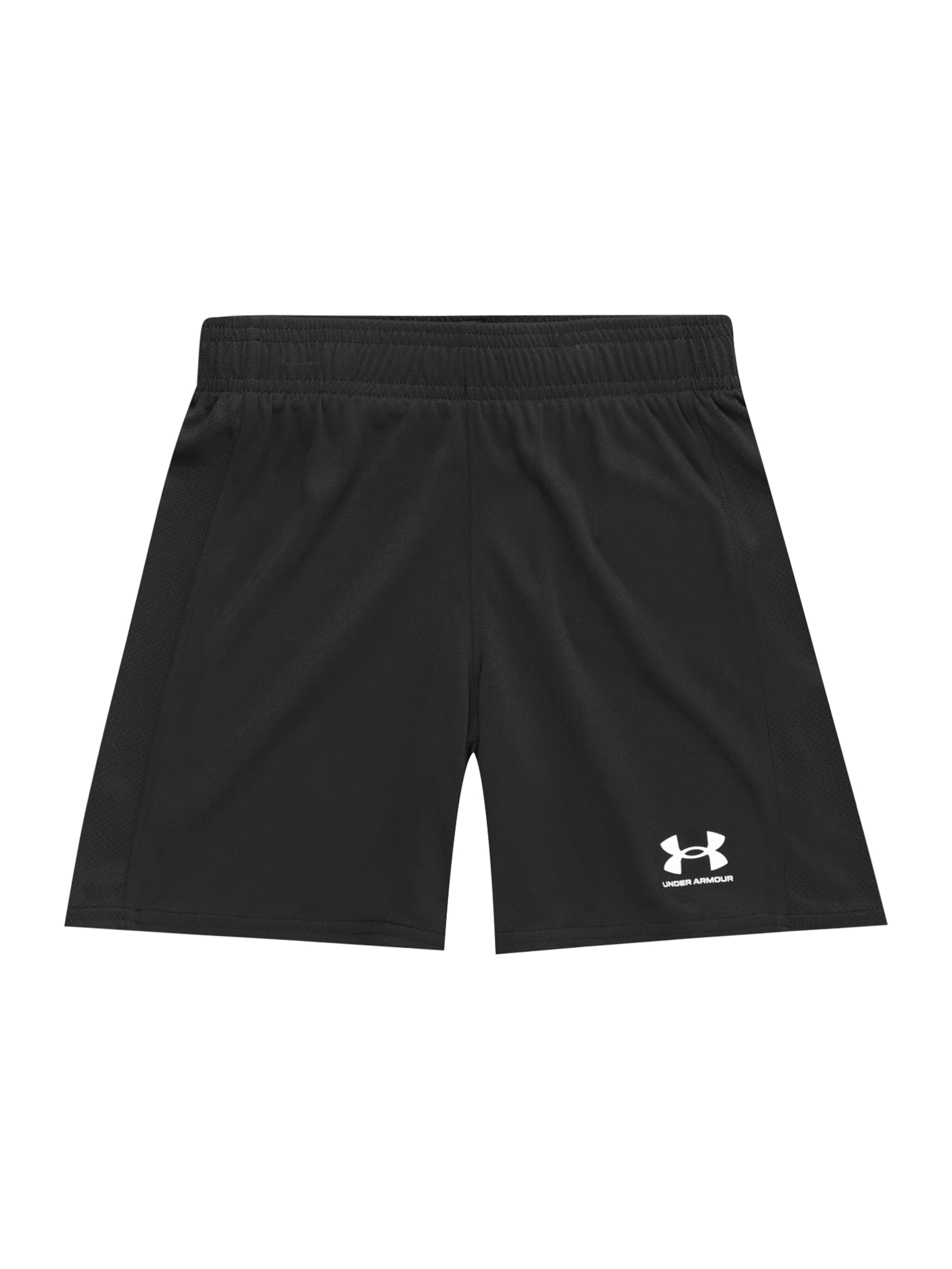 UNDER ARMOUR regular Παντελόνι φόρμας σε μαύρο: μπροστά