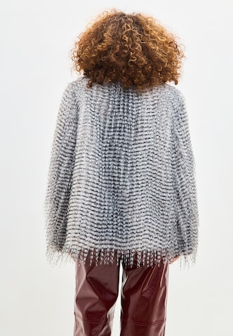 CESARE GASPARI Winter coat in Grey